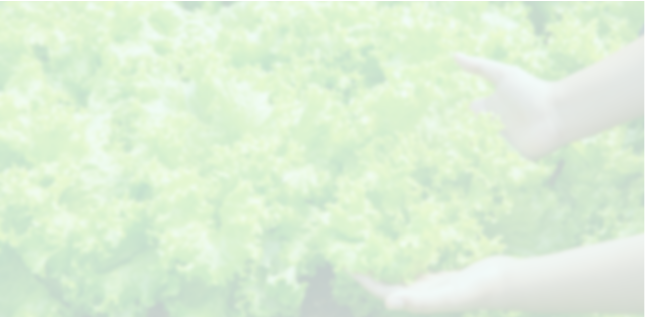 Quality ensured daily checks