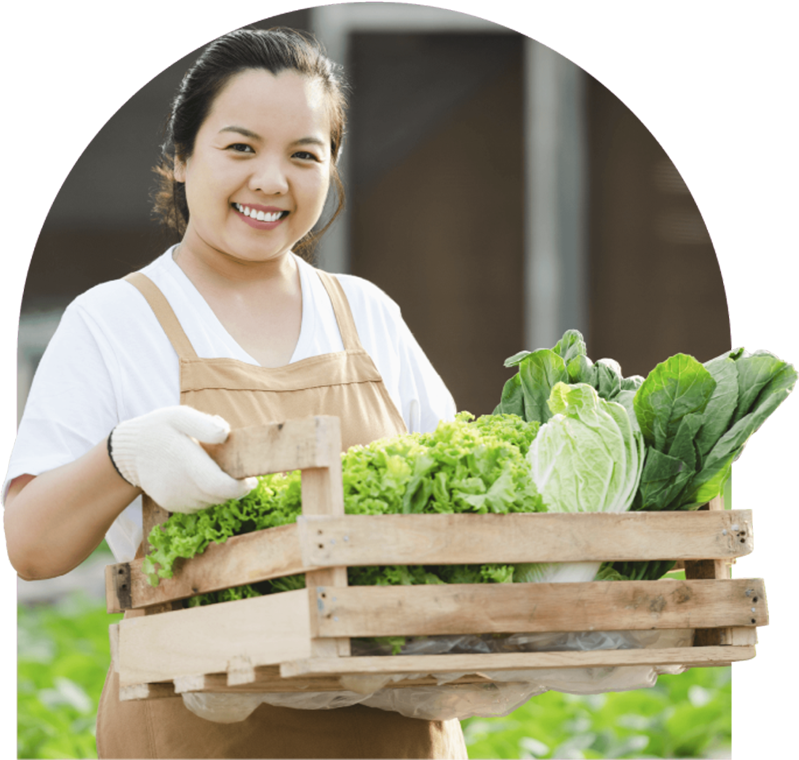 Quality ensured daily checks