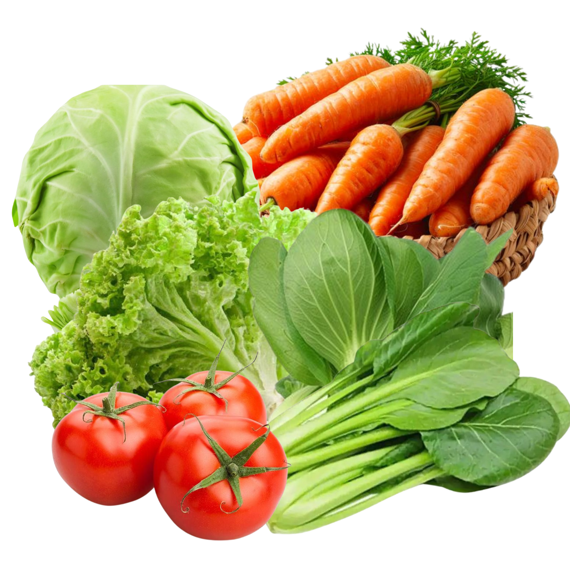 Rau tươi từ vườn